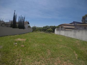 Comprar Terreno / Condomínio em São José do Rio Preto apenas R$ 2.500.000,00 - Foto 19