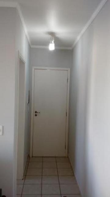 Comprar Apartamento / Padrão em São José do Rio Preto apenas R$ 260.000,00 - Foto 15