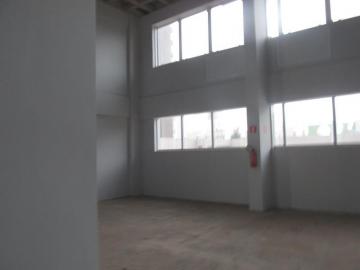 imagem 3 - Sala Comercial ampla Bom Jardim imagem 3 - Sala Comercial ampla Bom Jardim