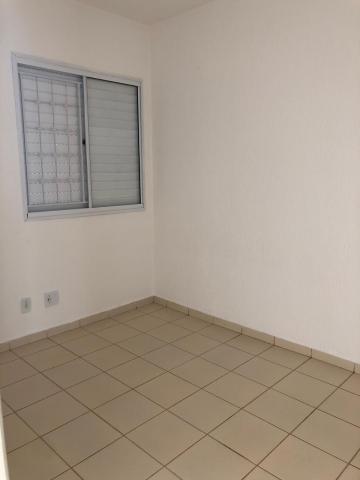 Alugar Casa / Condomínio em São José do Rio Preto apenas R$ 850,00 - Foto 7