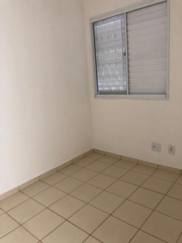 Alugar Casa / Condomínio em São José do Rio Preto R$ 850,00 - Foto 12