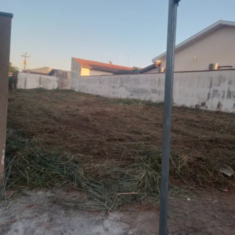 imagem 2 - Jardim Schmitt em frente UBS imagem 2 - Jardim Schmitt em frente UBS
