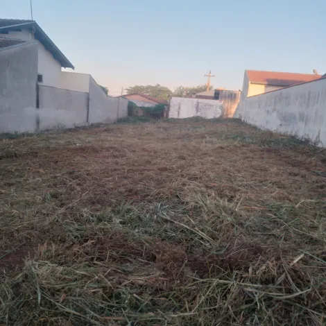 imagem 1 - Jardim Schmitt em frente UBS imagem 1 - Jardim Schmitt em frente UBS