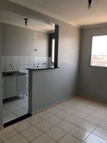 Alugar Apartamento / Padrão em São José do Rio Preto apenas R$ 650,00 - Foto 1