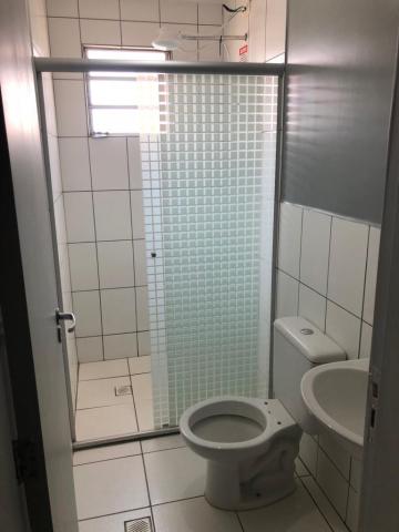 Alugar Apartamento / Padrão em São José do Rio Preto R$ 650,00 - Foto 10