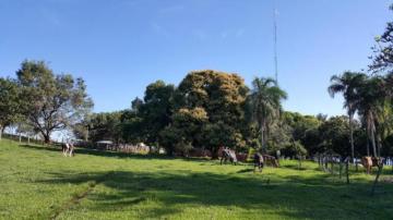 imagem 3 - Rural - Sítio imagem 3 - Rural - Sítio