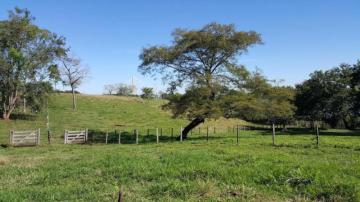 imagem 4 - Rural - Sítio imagem 4 - Rural - Sítio