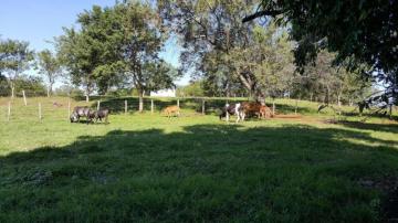 imagem 5 - Rural - Sítio imagem 5 - Rural - Sítio