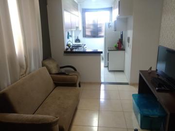Alugar Apartamento / Padrão em Mirassol. apenas R$ 900,00