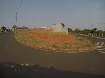 imagem 1 - Terreno - Padrão imagem 1 - Terreno - Padrão
