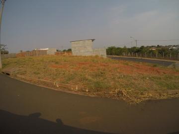 imagem 3 - Terreno - Padrão imagem 3 - Terreno - Padrão