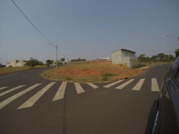 imagem 2 - Terreno - Padrão imagem 2 - Terreno - Padrão