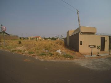 imagem 1 - Terreno - Padrão imagem 1 - Terreno - Padrão