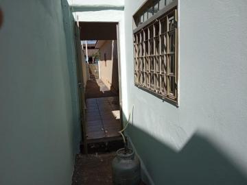 Alugar Casa / Padrão em São José do Rio Preto R$ 780,00 - Foto 13