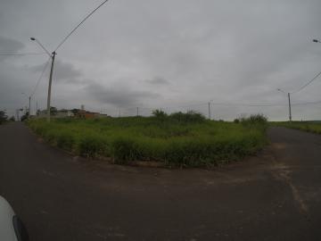 imagem 1 - Terreno - Padrão imagem 1 - Terreno - Padrão