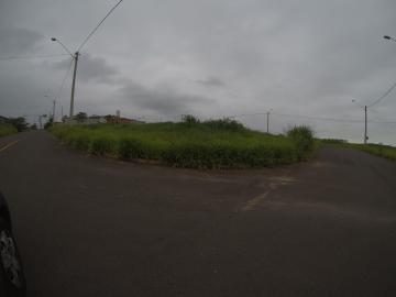 imagem 2 - Terreno - Padrão imagem 2 - Terreno - Padrão
