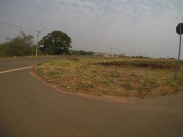imagem 1 - Terreno - Padrão imagem 1 - Terreno - Padrão