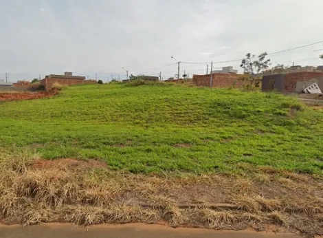 Terreno / Padrão em Bady Bassitt 