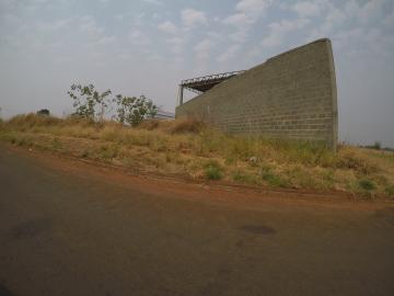 imagem 1 - Terreno em Bady Bassitt com 330,7m² imagem 1 - Terreno em Bady Bassitt com 330,7m²