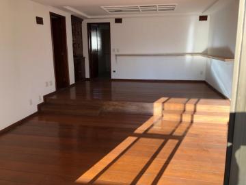 imagem 5 - Apartamento com 4 dormitórios no Centro de Rio Preto imagem 5 - Apartamento com 4 dormitórios no Centro de Rio Preto
