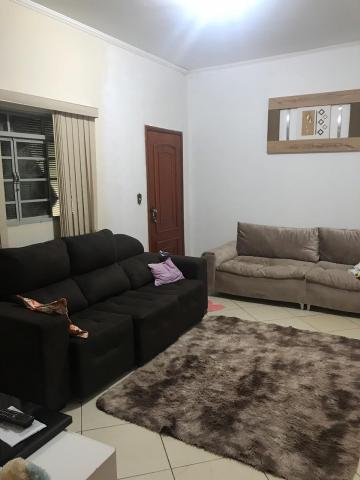 Comprar Rural / Chácara em Cedral R$ 400.000,00 - Foto 1