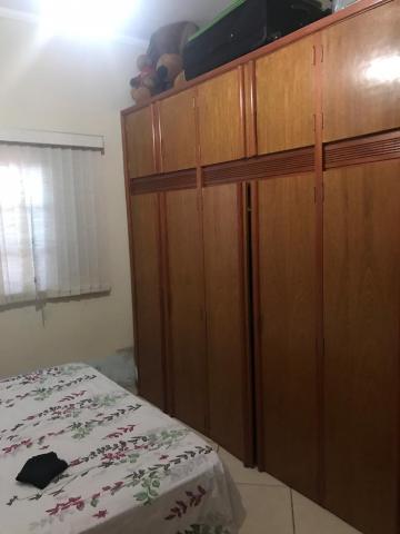 Comprar Rural / Chácara em Cedral R$ 400.000,00 - Foto 3