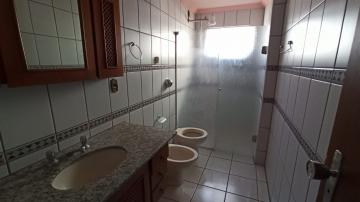 Alugar Apartamento / Padrão em São José do Rio Preto R$ 765,54 - Foto 7