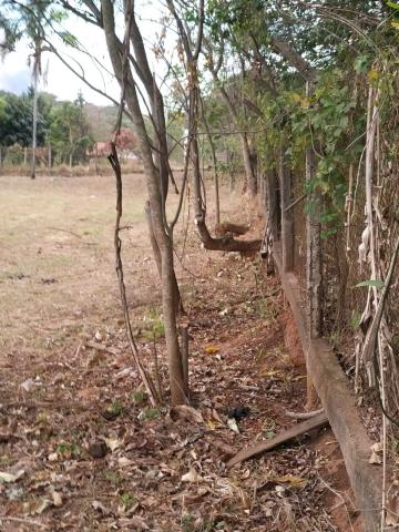 imagem 5 - Terreno - Padrão imagem 5 - Terreno - Padrão