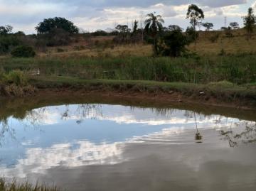 Terreno / Padrão em São José do Rio Preto 