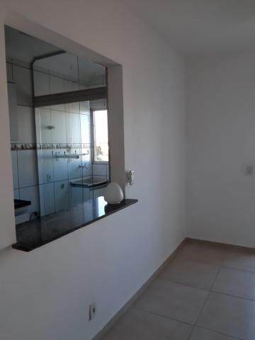 Comprar Apartamento / Padrão em São José do Rio Preto apenas R$ 411.000,00 - Foto 16