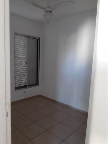 Comprar Apartamento / Padrão em São José do Rio Preto R$ 411.000,00 - Foto 18