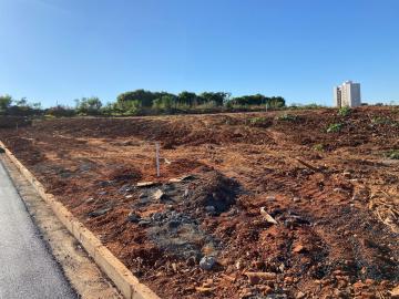 Terreno / Padrão em São José do Rio Preto 