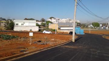 imagem 3 - Terreno - Padrão imagem 3 - Terreno - Padrão