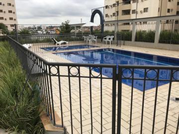 Comprar Apartamento / Padrão em São José do Rio Preto apenas R$ 442.500,00 - Foto 3