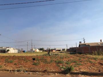 imagem 3 - Terreno - Padrão imagem 3 - Terreno - Padrão