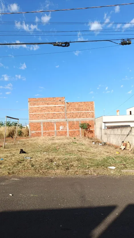 imagem 1 - Terreno - Padrão imagem 1 - Terreno - Padrão