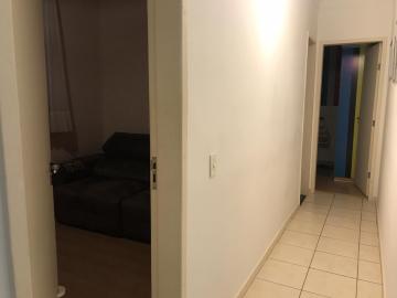 Comprar Apartamento / Padrão em São José do Rio Preto R$ 200.000,00 - Foto 5