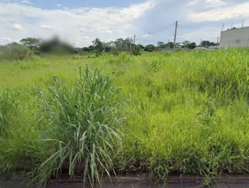 Terreno / Padrão em São José do Rio Preto 