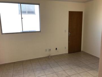 Alugar Apartamento / Padrão em São José do Rio Preto R$ 650,00 - Foto 2