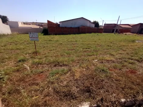 imagem 1 - Venda e Empreendimento de Terreno em Jardim do Bosque I - Palestina/SP imagem 1 - Venda e Empreendimento de Terreno em Jardim do Bosque I - Palestina/SP