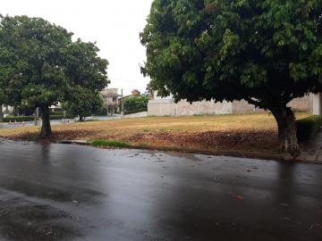 Terreno / Condomínio em São José do Rio Preto 