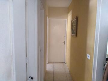 imagem 3 - Apartamento 03 Dormitórios - Centro imagem 3 - Apartamento 03 Dormitórios - Centro
