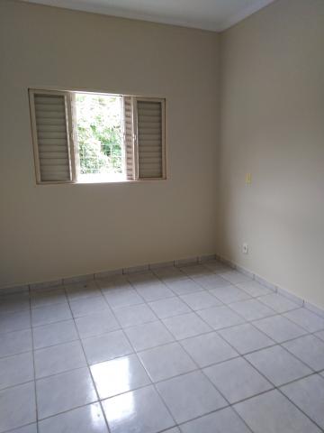 Alugar Casa / Padrão em São José do Rio Preto. apenas R$ 280.000,00