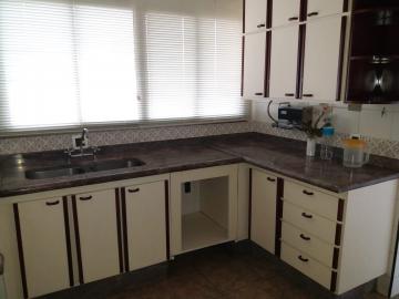 Alugar Apartamento / Padrão em São José do Rio Preto apenas R$ 1.000,00 - Foto 31