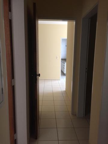 imagem 4 - Apartamento - Padrão imagem 4 - Apartamento - Padrão