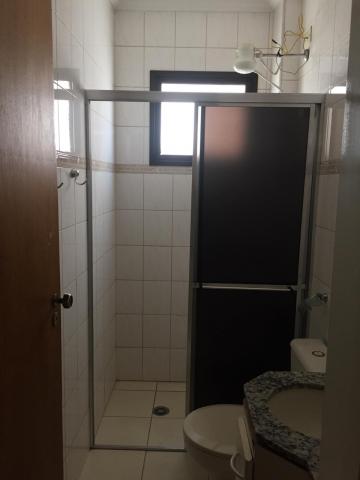 Alugar Apartamento / Padrão em São José do Rio Preto apenas R$ 650,00 - Foto 5