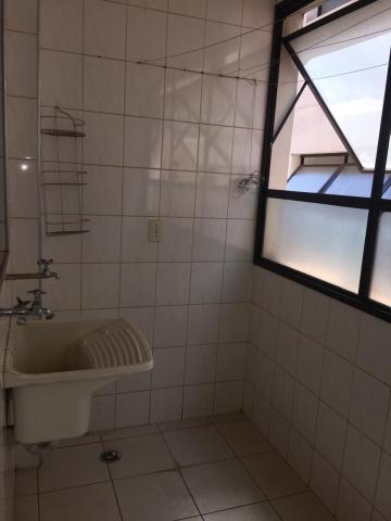 Alugar Apartamento / Padrão em São José do Rio Preto R$ 650,00 - Foto 9