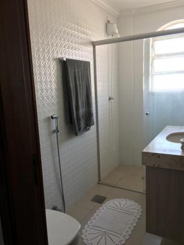 Alugar Apartamento / Padrão em São José do Rio Preto apenas R$ 1.200,00 - Foto 13