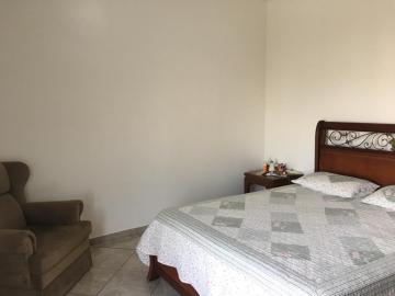 Alugar Apartamento / Padrão em São José do Rio Preto apenas R$ 1.200,00 - Foto 8