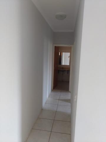 Alugar Apartamento / Padrão em São José do Rio Preto R$ 650,00 - Foto 4